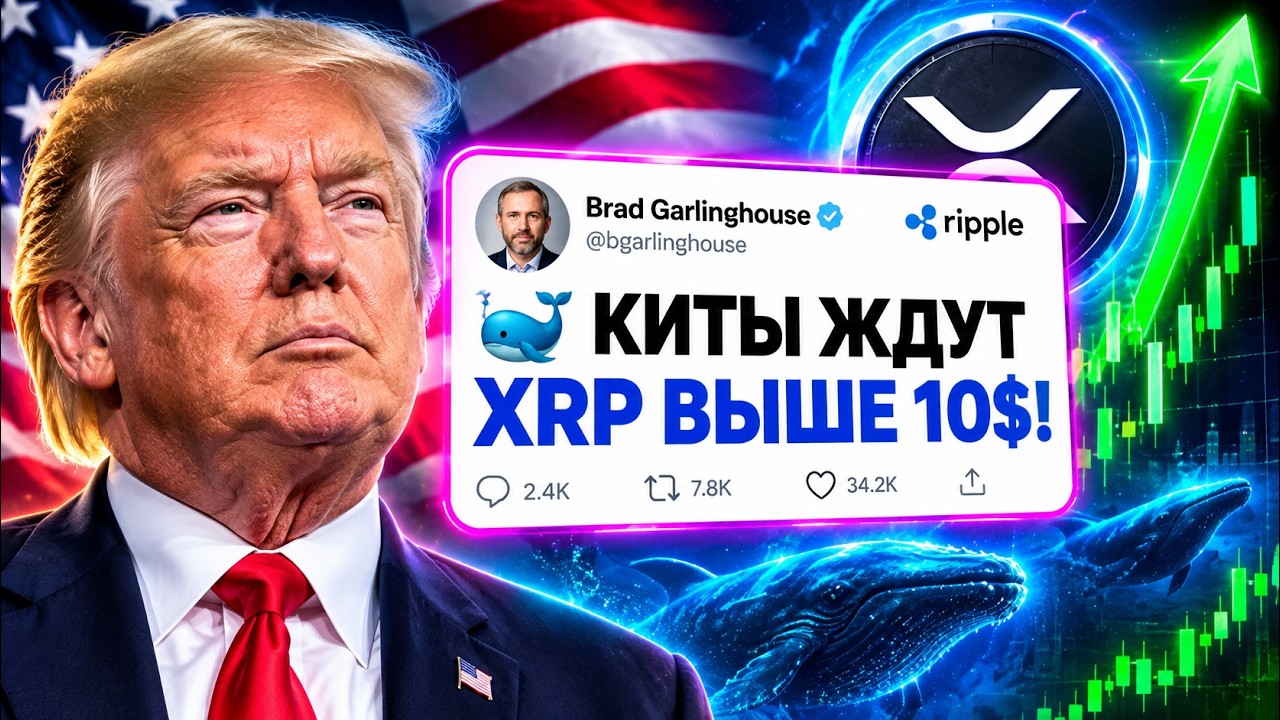 ДОКАЗАТЕЛЬСТВО: КИТЫ НАЧАЛИ СКУПАТЬ XRP! CLARITY ACT ОТКРОЕТ ДОРОГУ МАССОВОМУ ИСПОЛЬЗОВАНИЮ RIPPLE?!