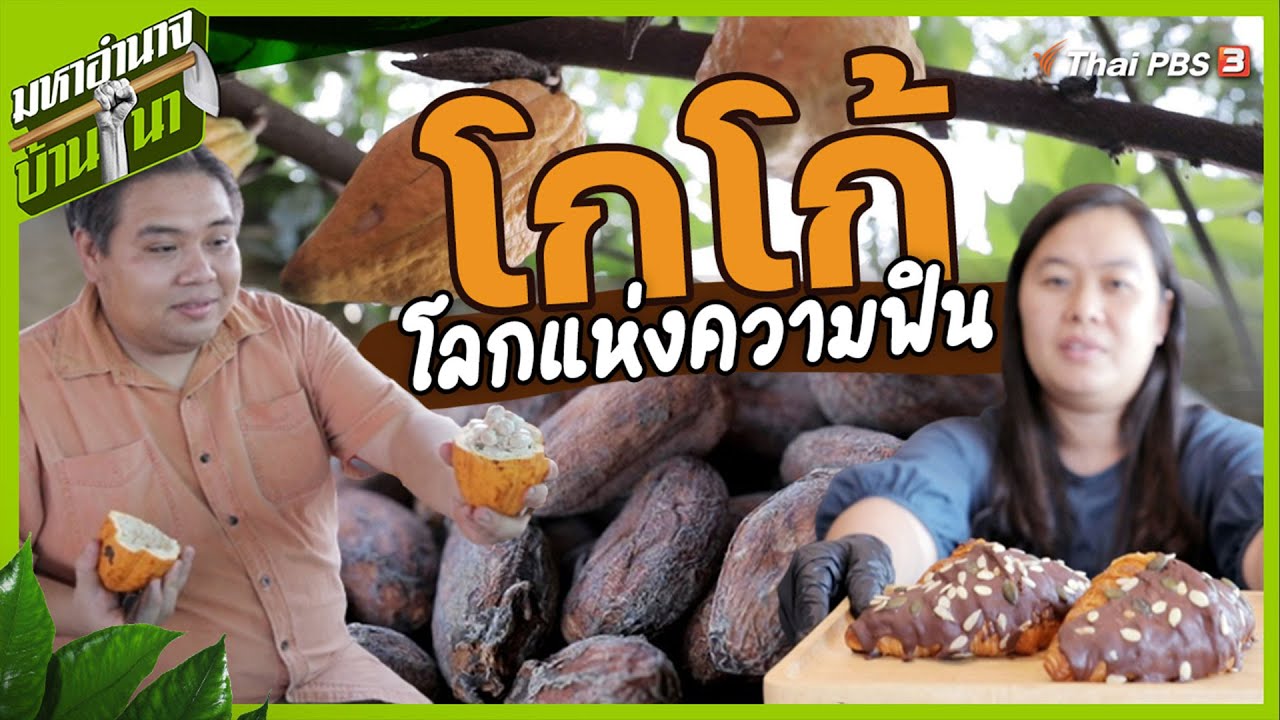 โกโก้ โลกแห่งความฟิน : มหาอำนาจบ้านนา