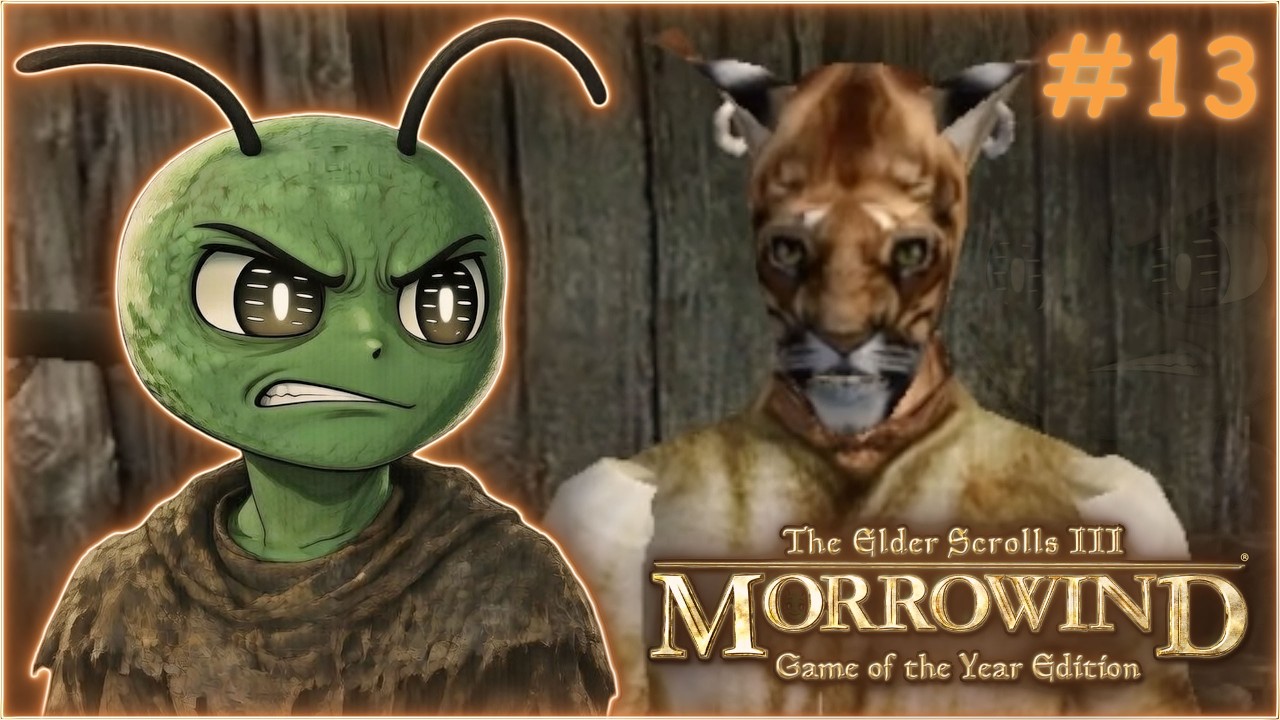 КАК ПОПАСТЬ ТУДА - The Elder Scrolls III: Morrowind #13