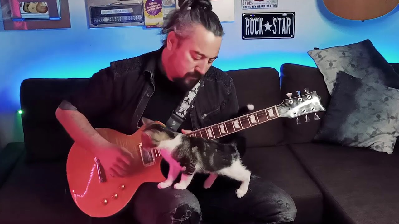 KEDİLİ 🐱 KİMSE BİLMEZ (Elektro Gitar Solo Cover)
