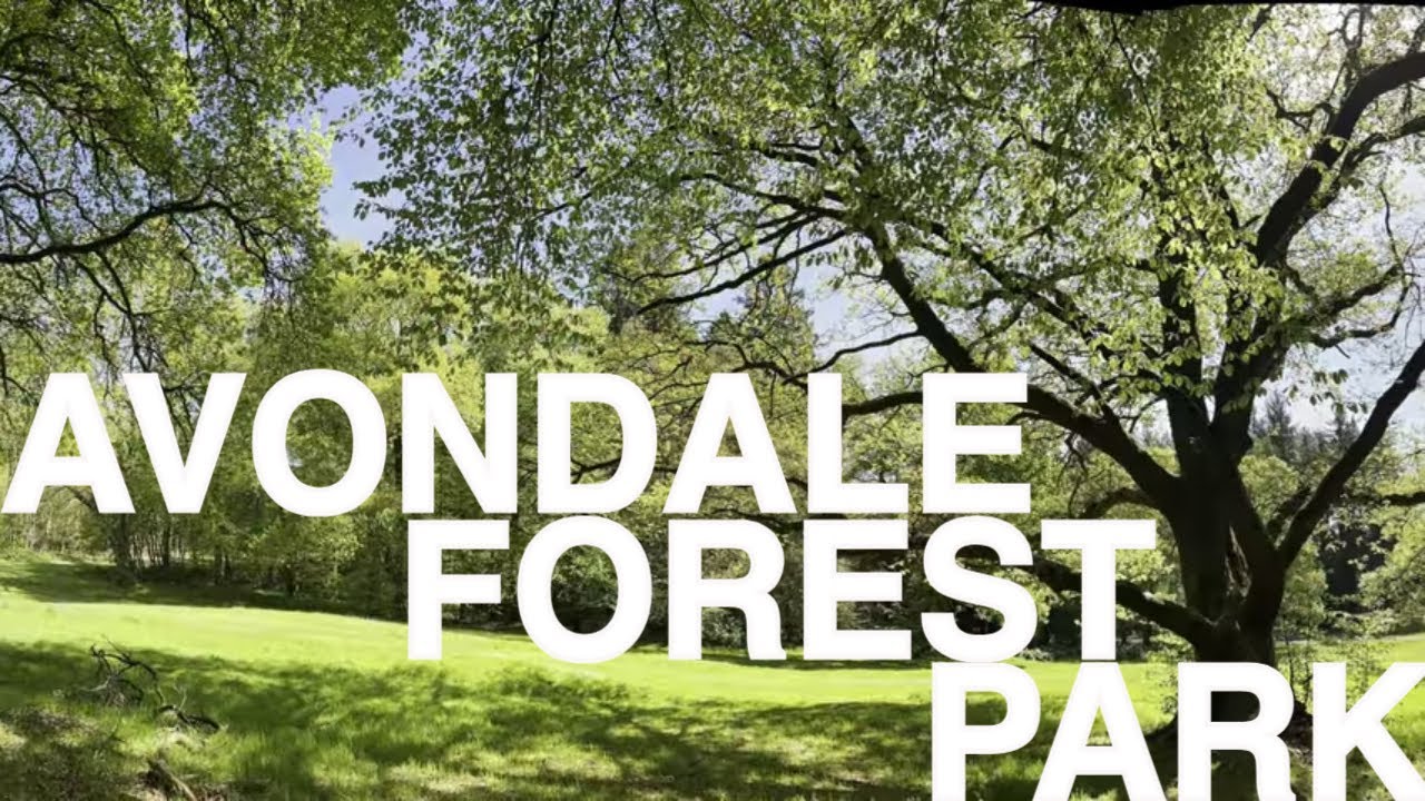 Avondale House & Forest Park, Rathdrum, Co. Wicklow, Ireland