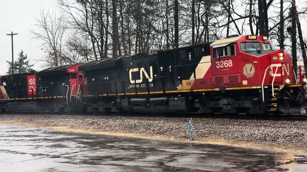 3/5/26 CN Train 492 ☔️☔️☔️