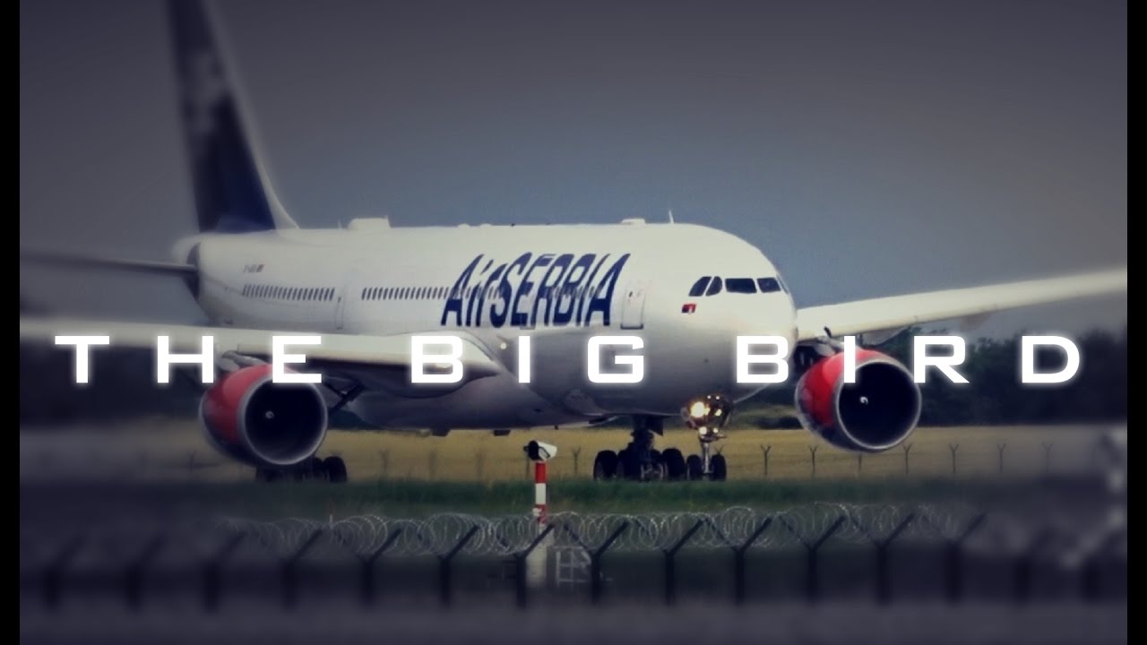 The Big Bird