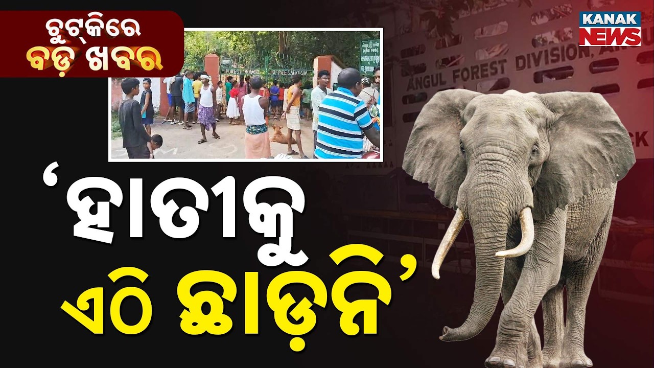 Chutkire Bada Khabar || 4th JUNE 2026 || 3PM Digital Bulletin || Kanak News