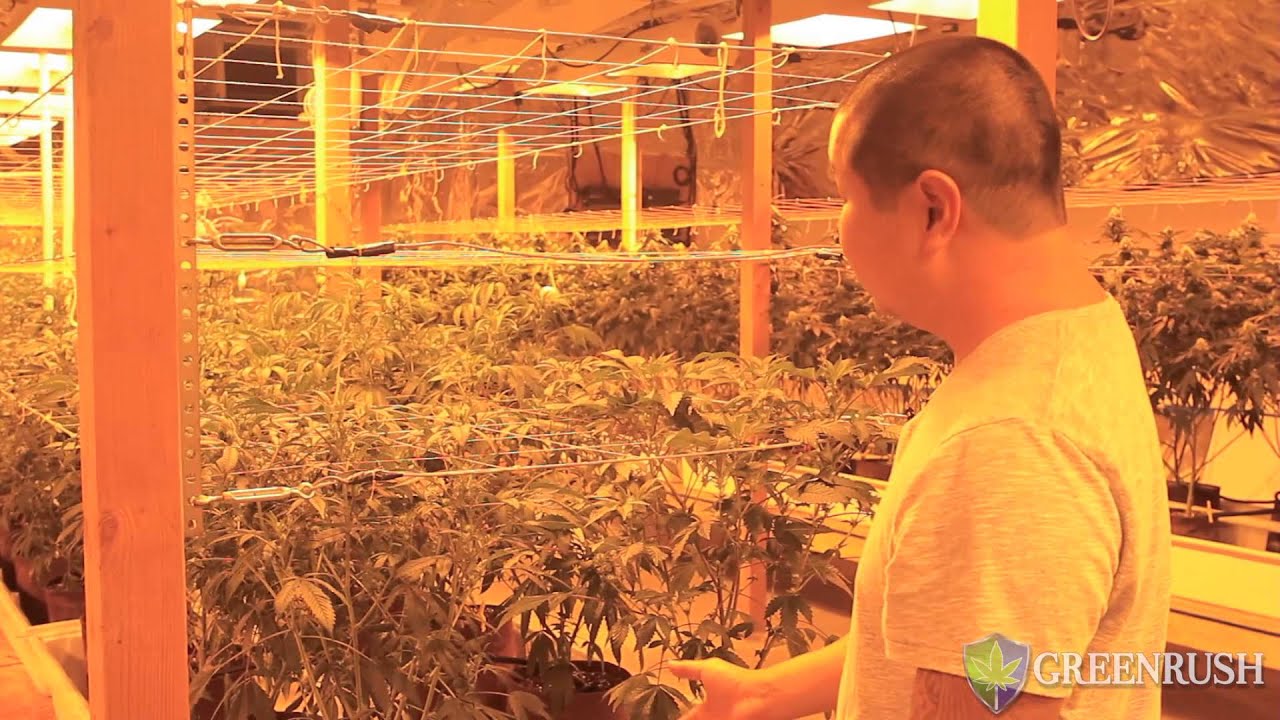 GreenRush Seminar Series: Van Ton Grower