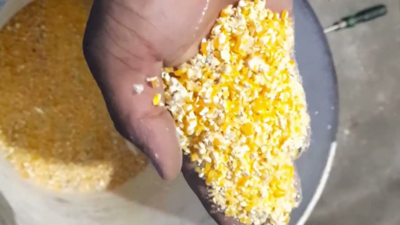 मकै पिस्नि मेसिन  कसारी बानाउन सकिनछ |how to make corn greanding machine