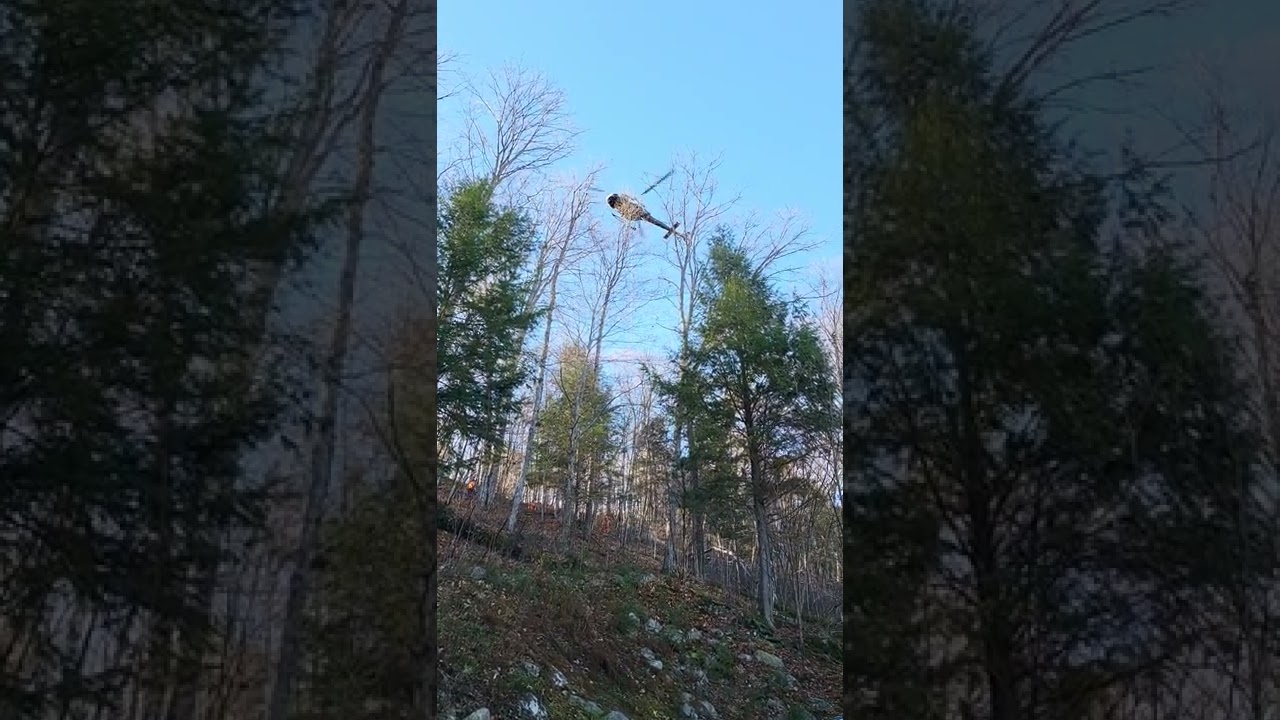 HydroOne Repairs