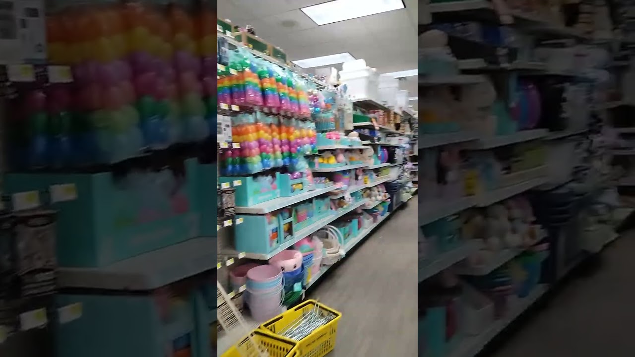 Dollar General Tour (Merrill, Wisconsin)