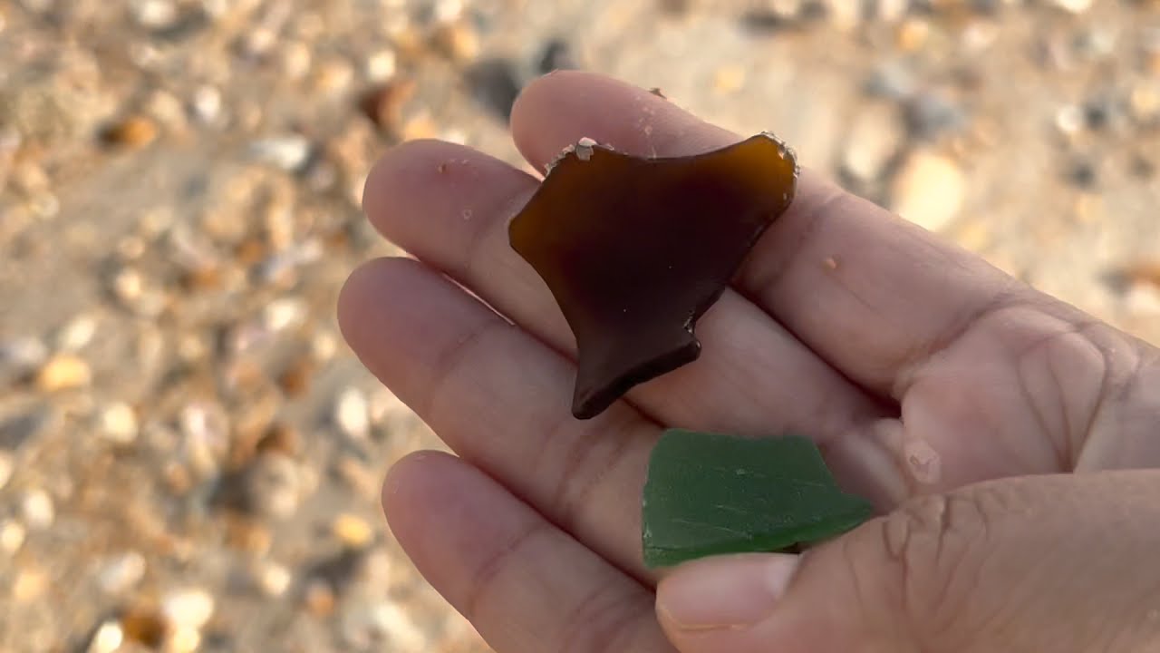 Florida Beach combing || Shelling|| Sea glass || Sea Shells || Jacksonville Florida