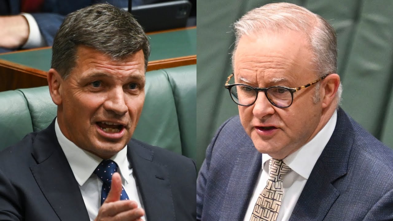 Angus Taylor to &lsquo;torch&rsquo; Albanese after winning Liberal leadership