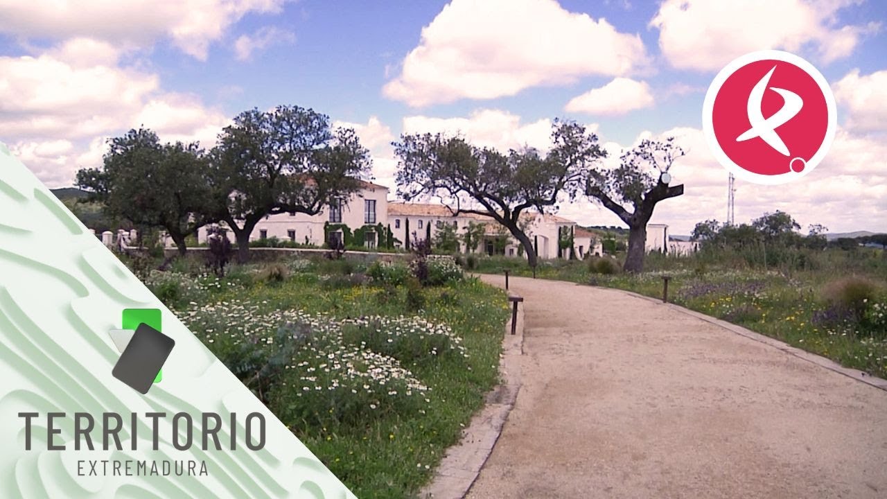 Un hotel de mil estrellas en plena dehesa extremeña | Territorio Extremadura
