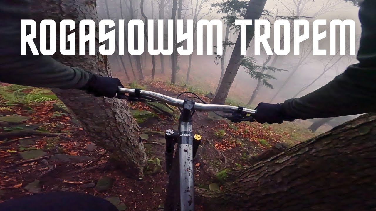 Beskid Sądecki | Kraina rasowych singli ENDURO | Rogasiowy | Raciczka | Radziejowa