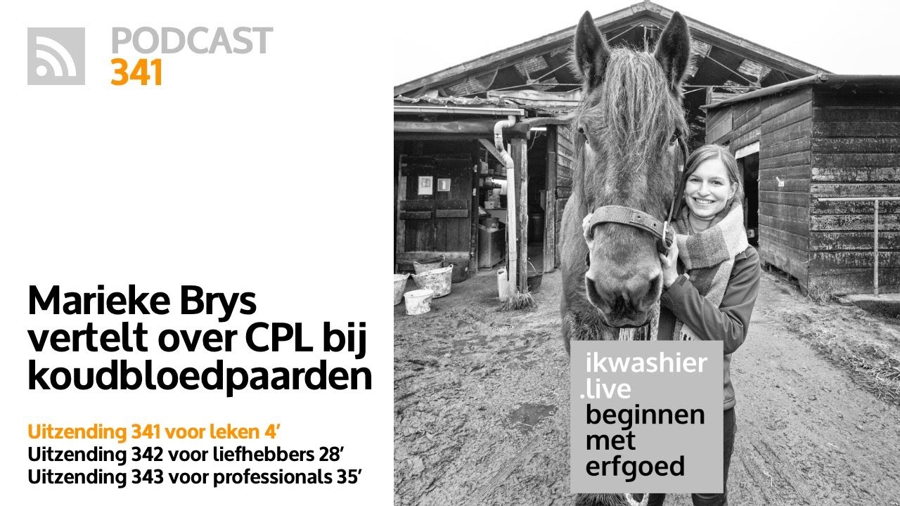 CPL bij trekpaarden en koudbloedras -1- kort voor dummies - Marieke Brys - Beginnen met erfgoed 341