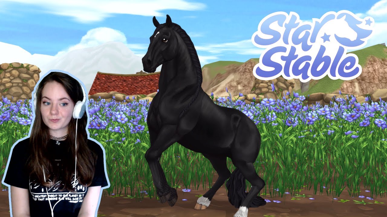 STAR STABLE ПОКУПАЕТ НОВЫХ ФРИЗСКИХ КОШЕК — Новости от Эби | Pinehaven