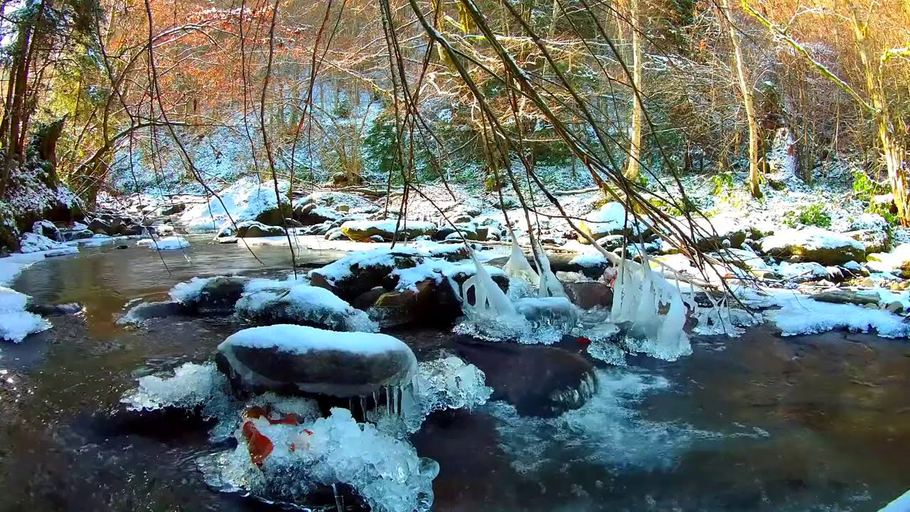 Расслабляющий Замороженный лес Река. Успокаивающий вода Звуки. (10 часов). Белый шум для спать.