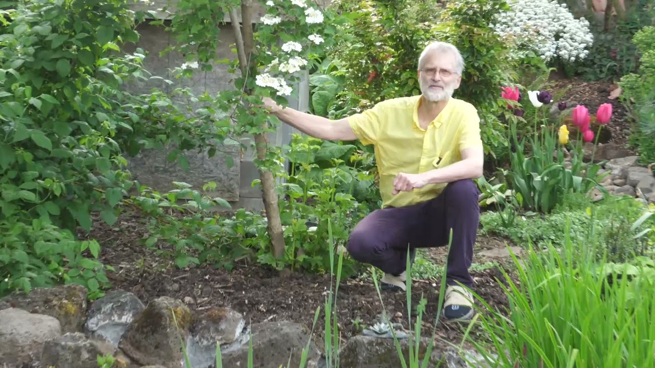 Kailash Ecovillage Permaculture Pandemic Virtual Tour