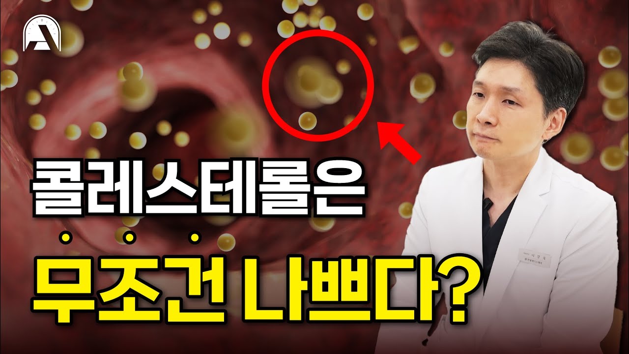콜레스테롤은 무조건 나쁘다?! | 콜레스테롤의 정체, 약 복용법, 식단 관리 핵심