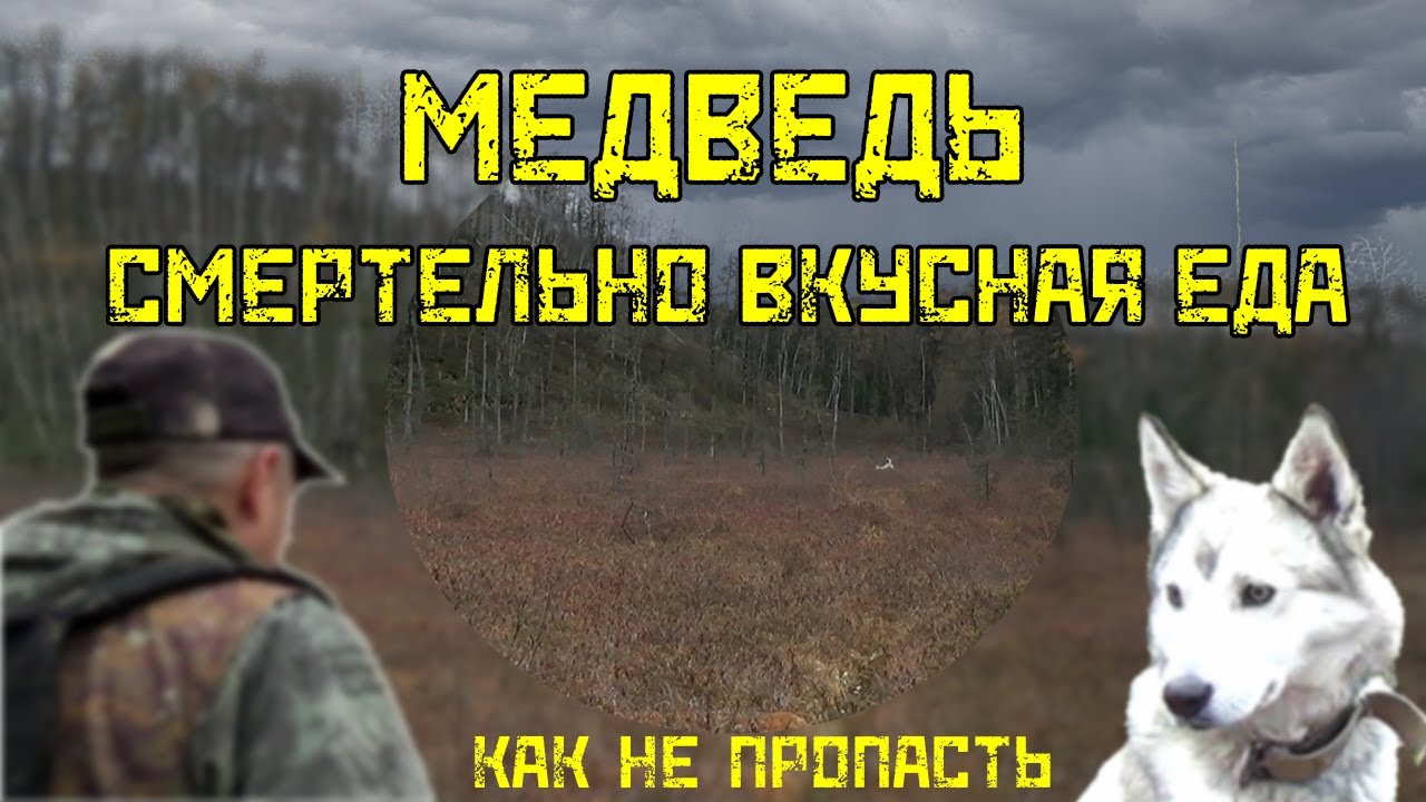 Медведь. Смертельно вкусная еда. Как не пропасть