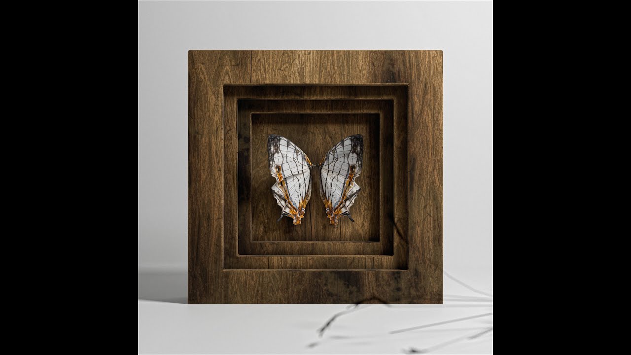Blank Tapes 03 - Chrysalis (Full Album)