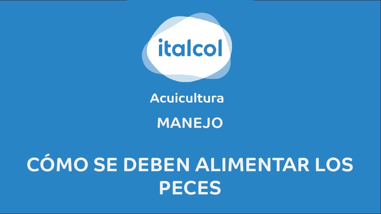 MANEJO - Como se deben alimentar los peces