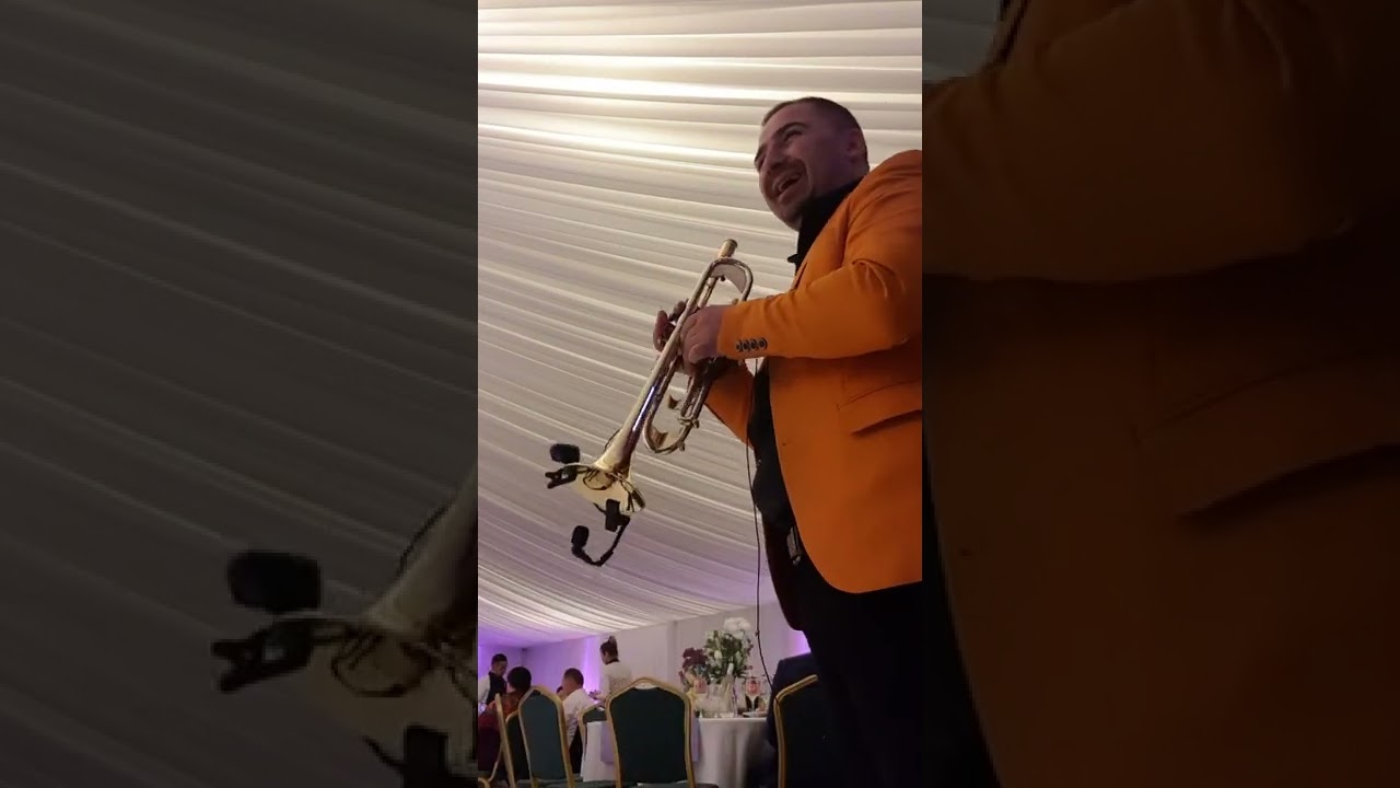 Colaj din mai multe zone ale țării.  trompeta. #live