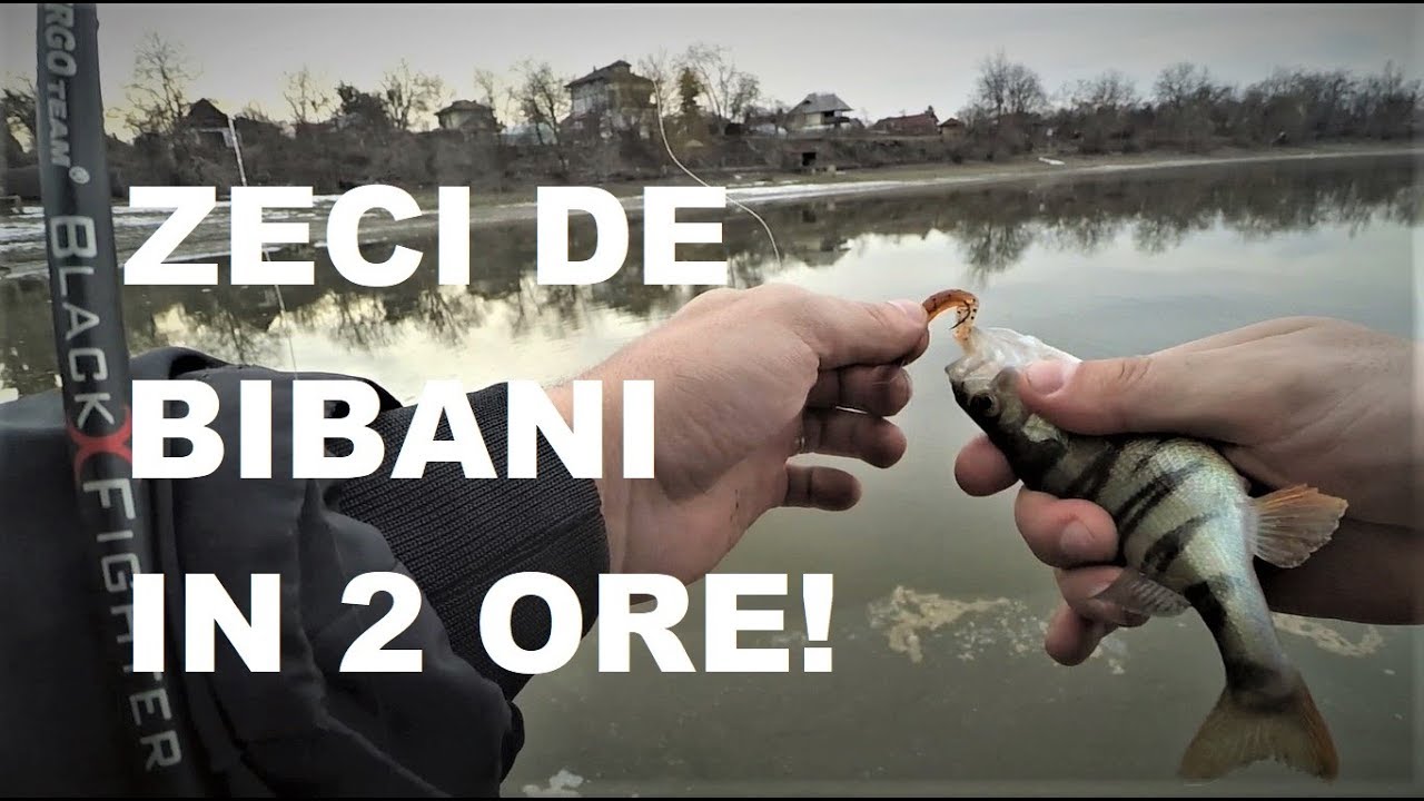 Pescuit la Biban Feb 2019 - la dropshot a doua bibaneala