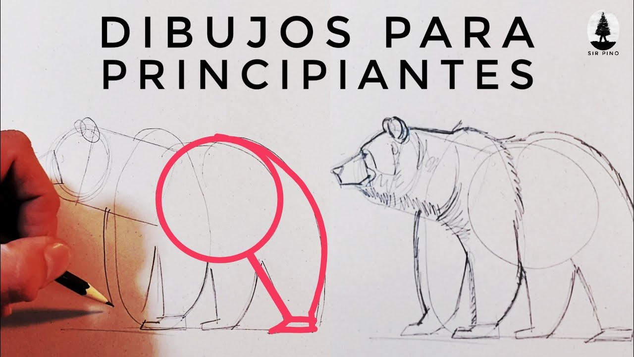 30 MINUTOS de DIBUJOS para PRINCIPIANTES