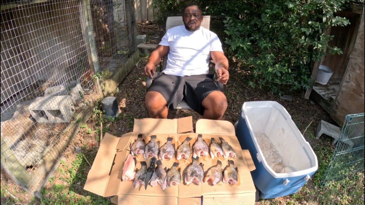 Warmouth Smackdown Catch, Clean, And Cook Pt.2