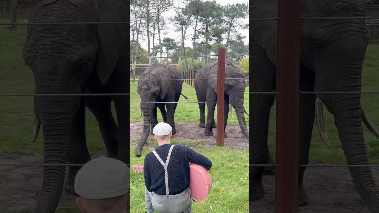 Was not expecting this 🐘🐘🥰