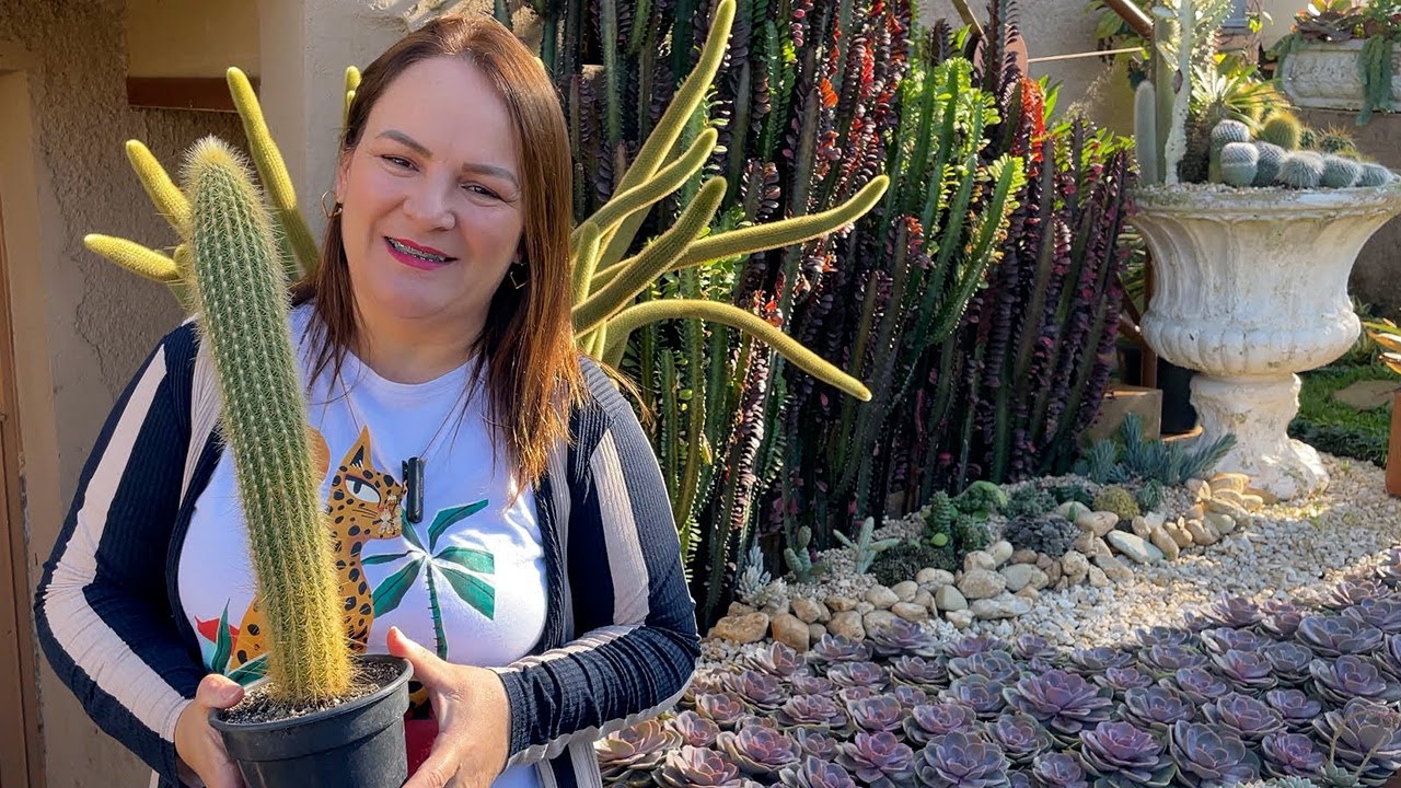 SUPER Novidade em nosso jardim de suculentas e cactos