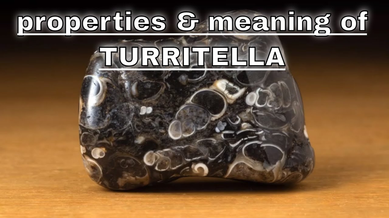 Turritella Agate Meaning Benefits and Spiritual Properties