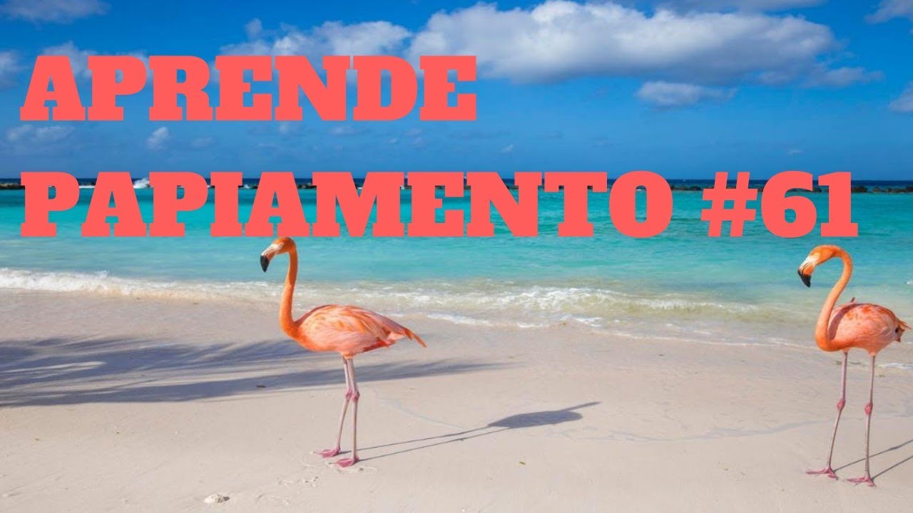 PAPIAMENTO # 61 (BANDERA DI ARUBA)
