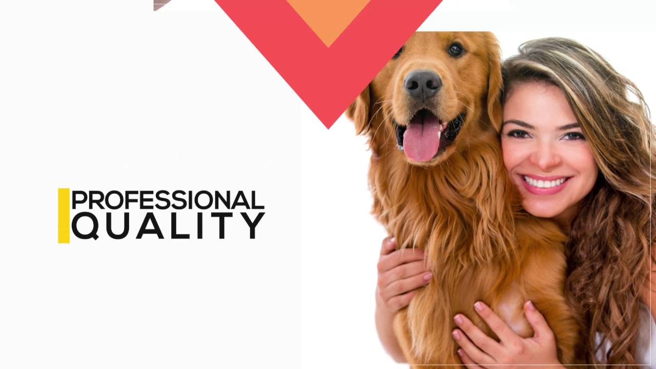 DakPets Slicker Brush For ALL Dogs & Cats