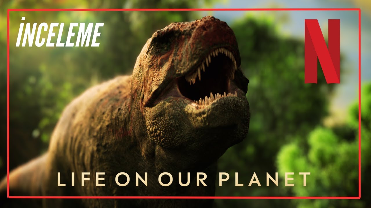 Life on Our Planet Nasıl Olmuş? İnceleme