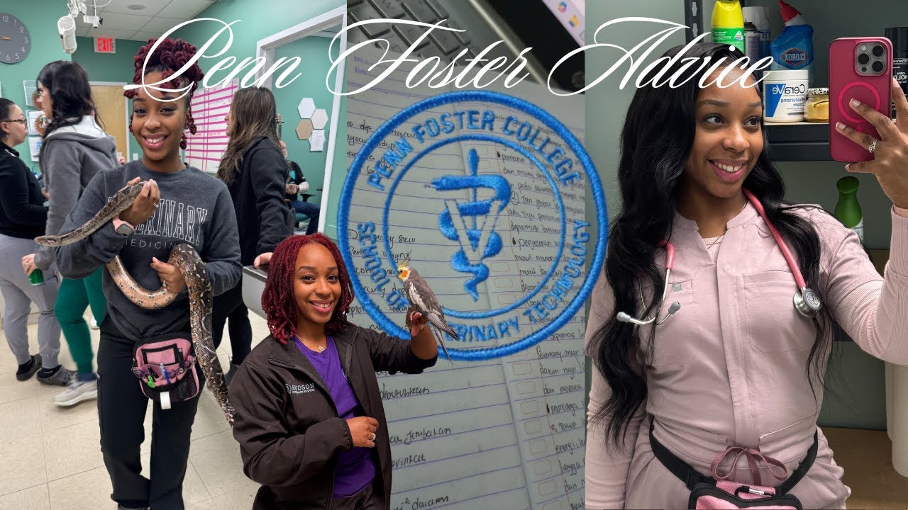 Penn Foster Vet Tech Program Q&A 🐾🩺💓 | Real & honest advice ! 