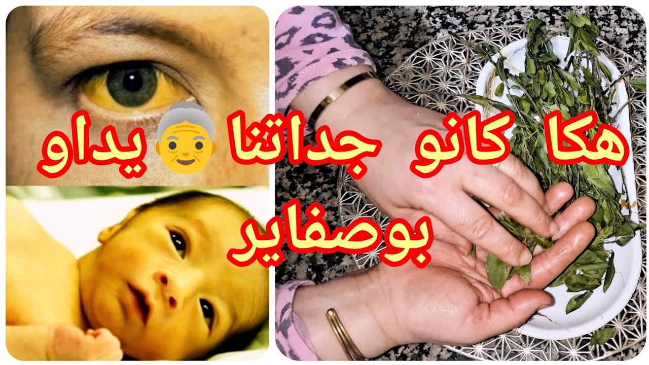 #والله ناس زمان كانت فيهم النية الخالصة🥰#غير من الكوزينة☕️🌿 بابسط الوصفات سلكوا ناس من المامات#