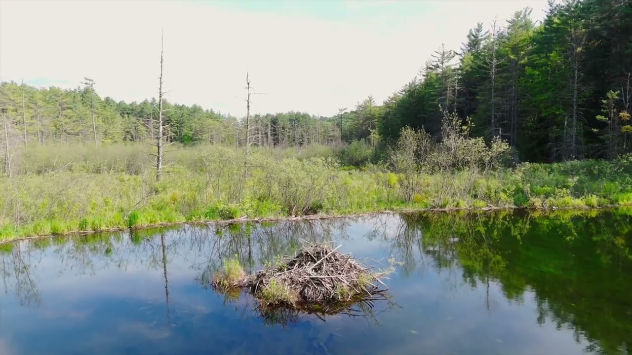 Newton Ln, Hartford, VT 05001, USA   Karen DeMas   Drone Video