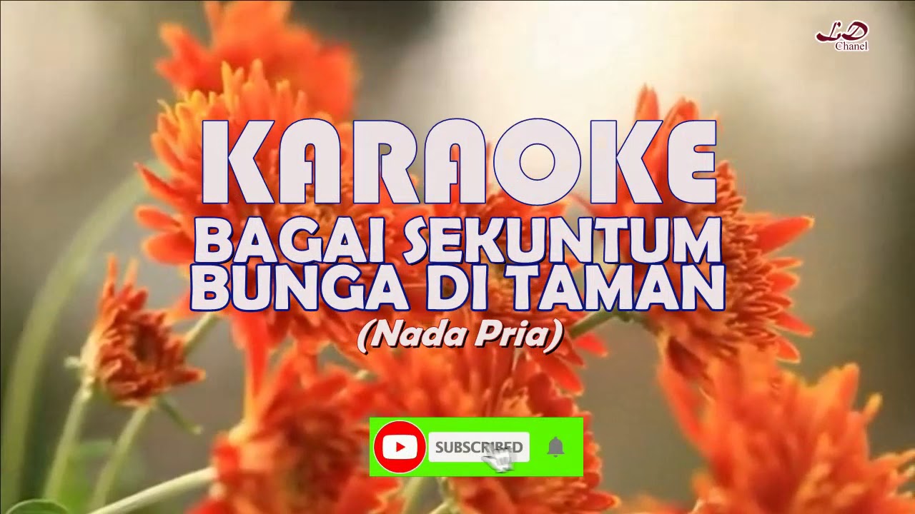 Karaoke Bagai Sekuntum Bunga di Taman (Nada Pria)