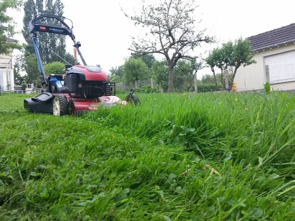 Tonte en herbe haute et humide : Toro recycler 20958