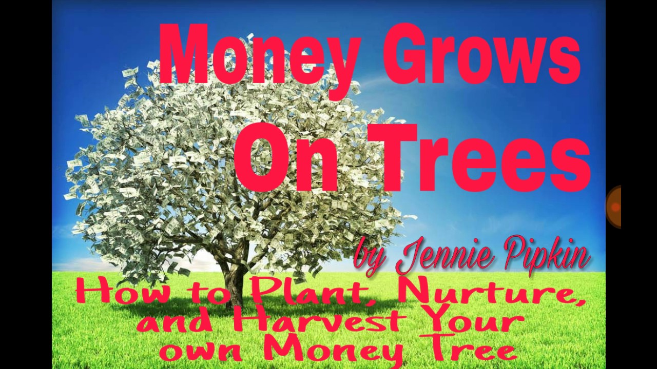 Money Grows on Trees Law of Attraction Audio Book