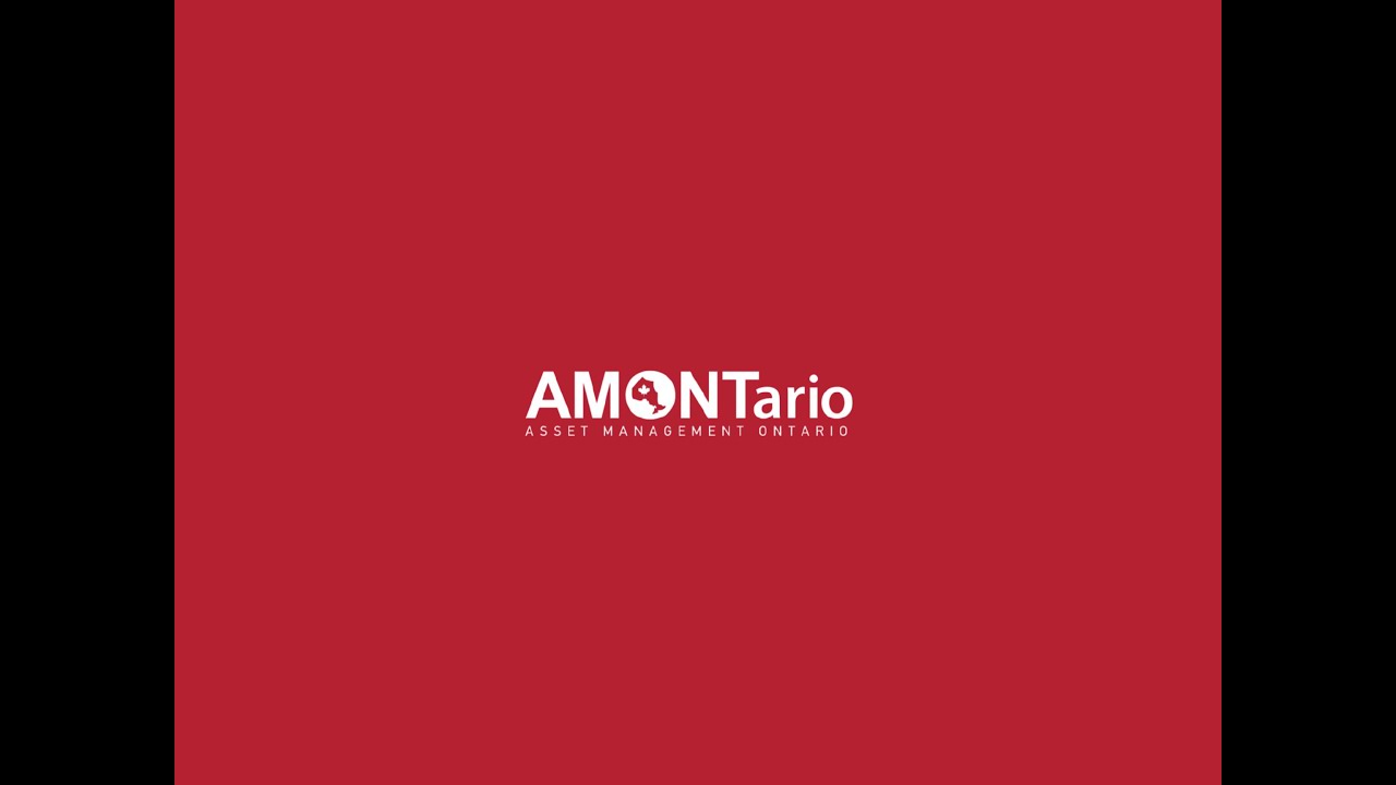 Risk-based Perspective in Infrastructure Asset Management