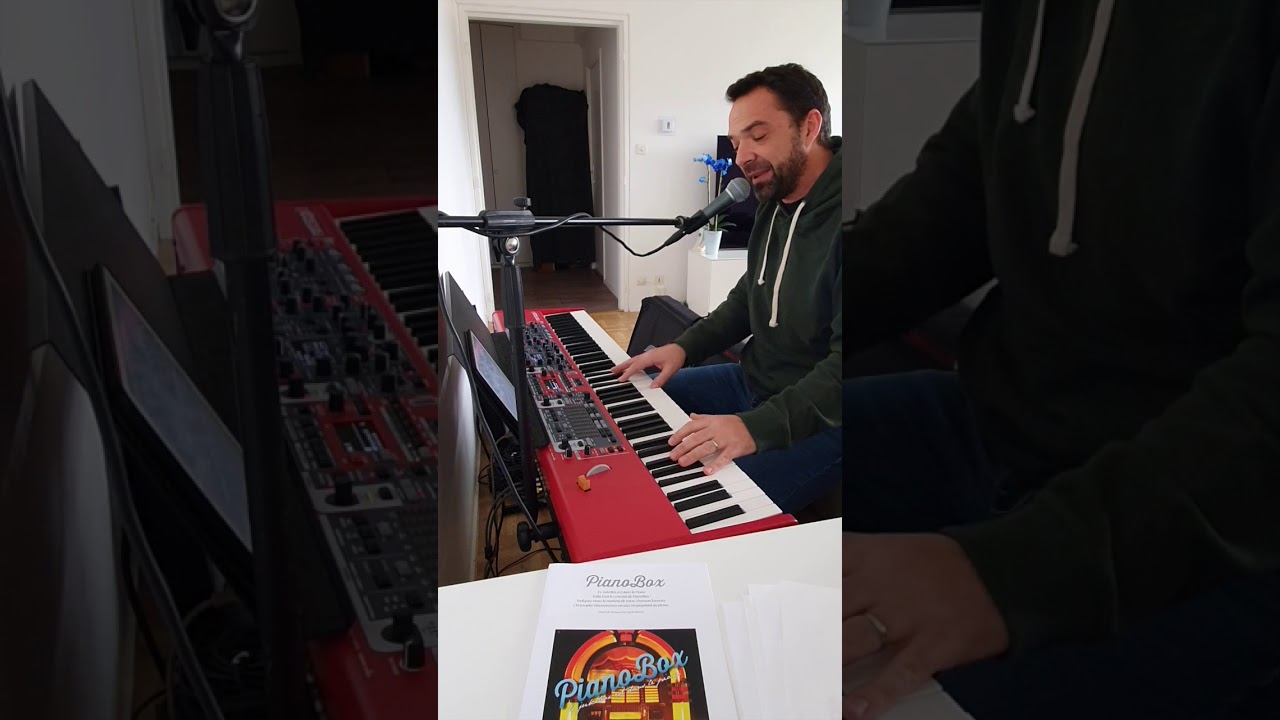 Chanson sur ma drôle de vie - Véronique Sanson (Reprise Cover)