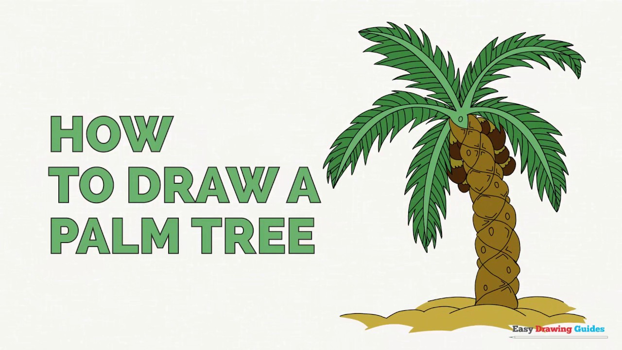 How to Draw a Palm Tree - Easy Step-by-Step Drawing Tutorial