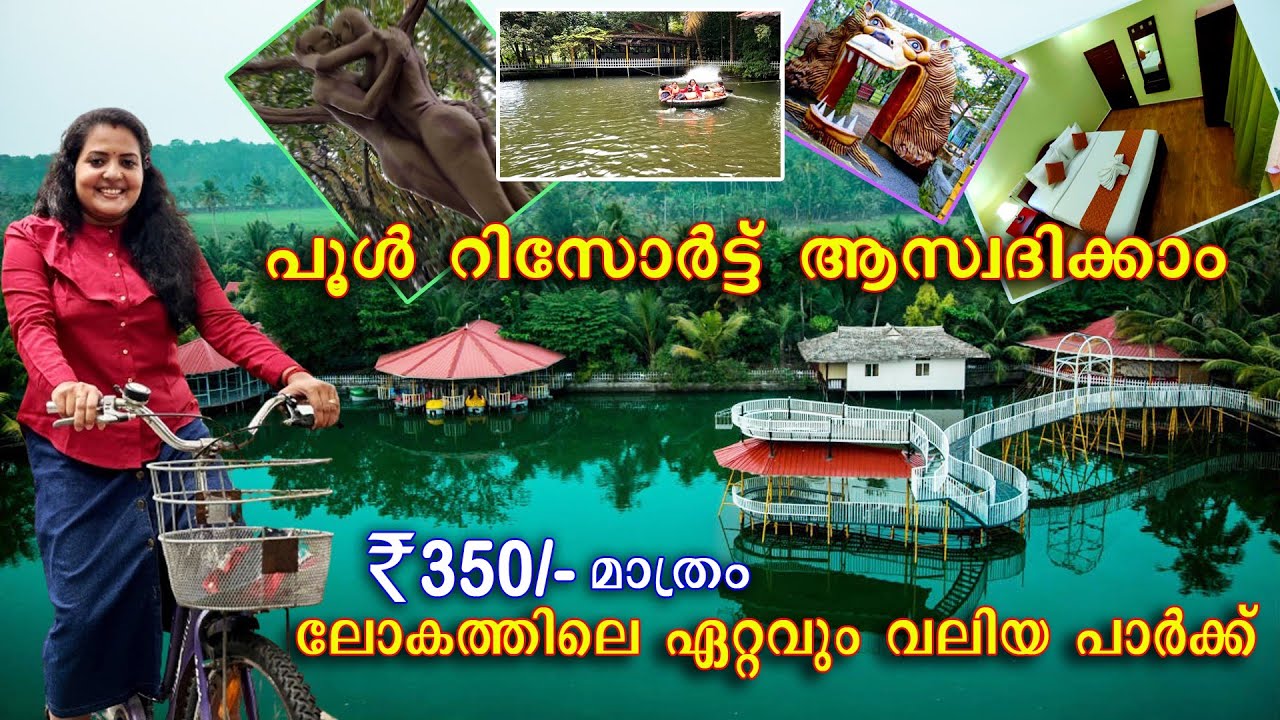 Pool Resort @350/- || Mango Meadows Kottayam ||World Largest Agricultural Theme Park #mangomeadows