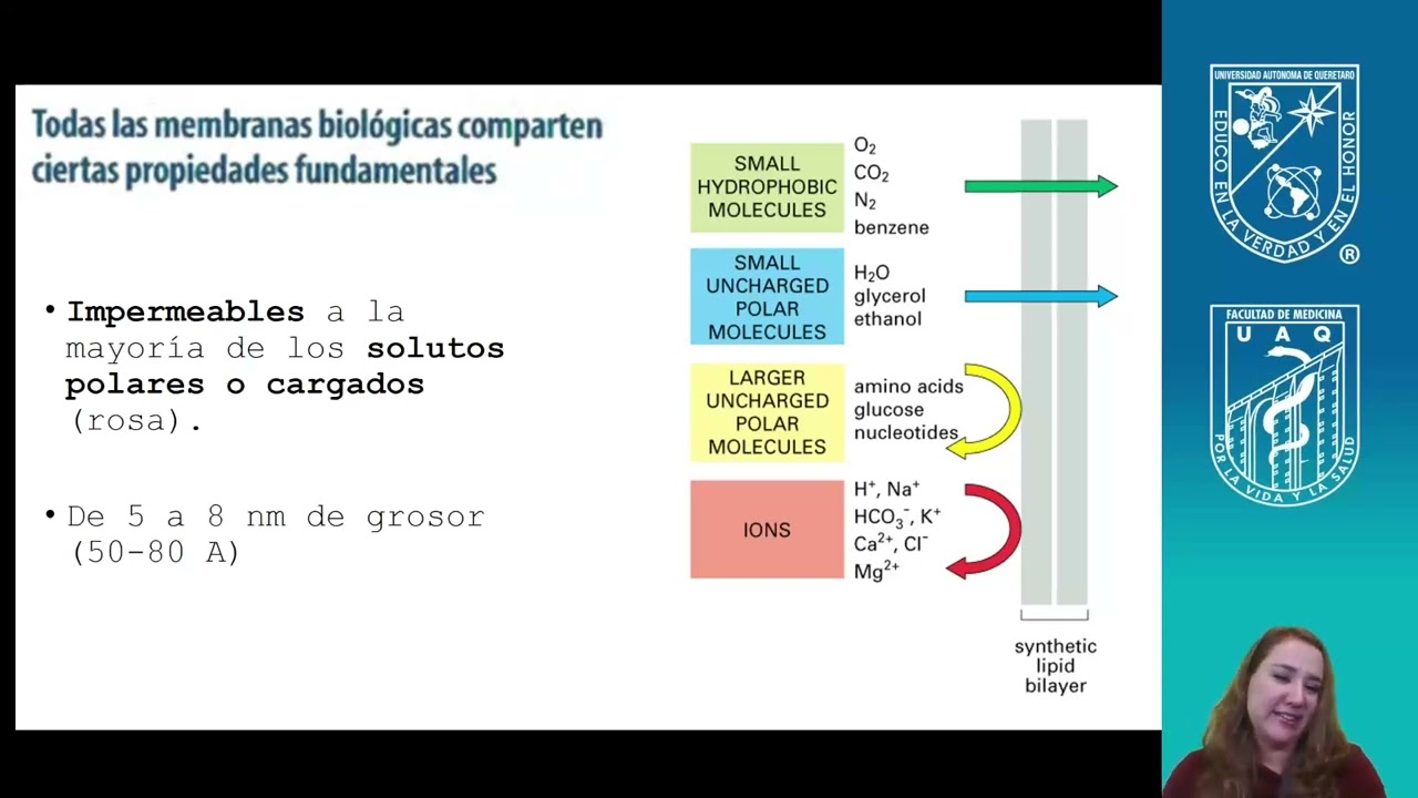 CLASE 2  MEMBRANAS BIOLÓGICAS Y TRANSPORTE   Ana Tusie