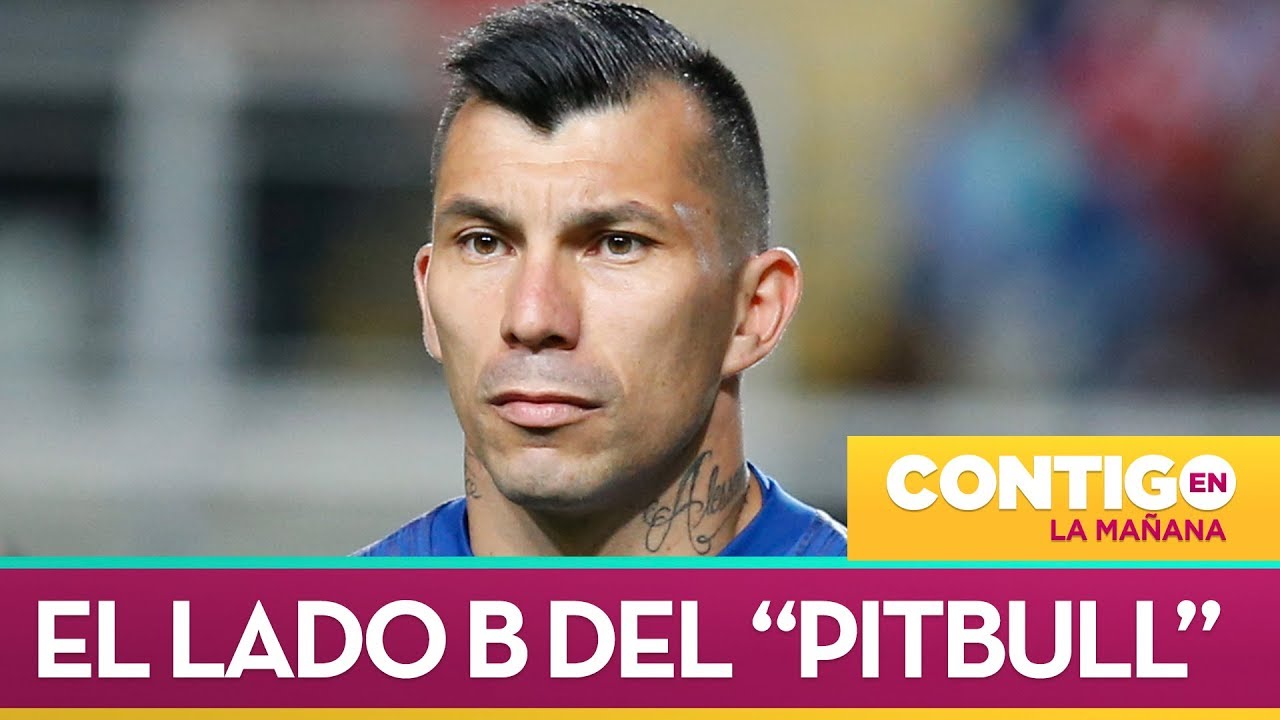 Gary Medel: 