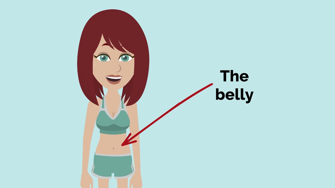 Parts of the body in english - Basic vocabulary of the human body