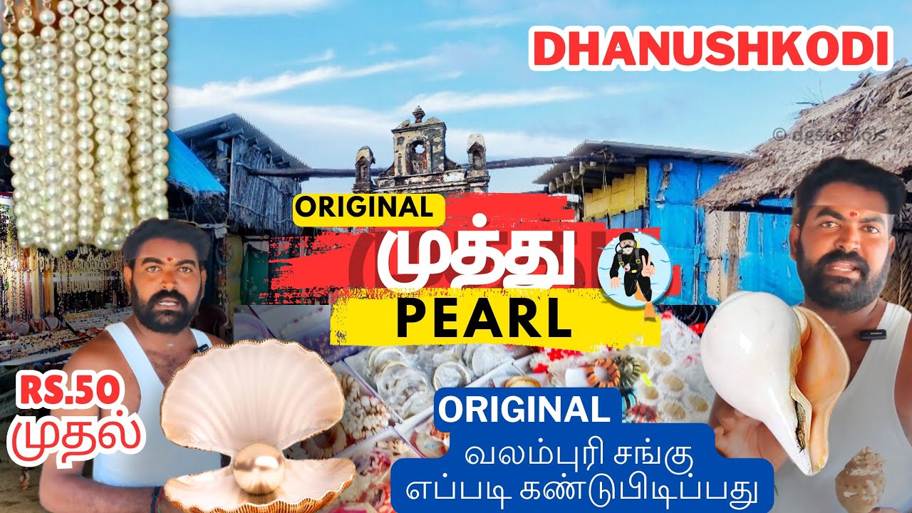 Rs.50 முதல் Original முத்து 😍Pearl🐚 வலம்புரி சங்கு @Dhanushkodi | Rs.50 முதல் | Long leave trip #dg