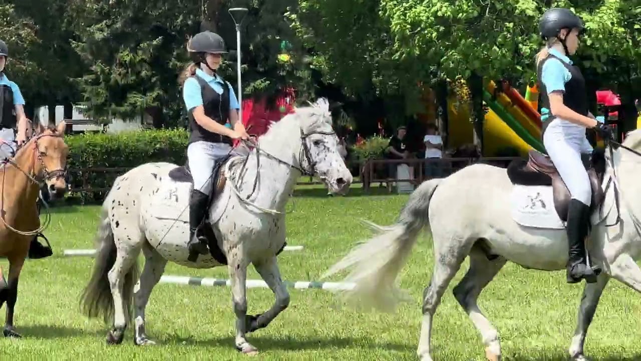 Pokaz Koni Wielkopolskich – Zjazd Hodowców 2024 #agroshow #konie