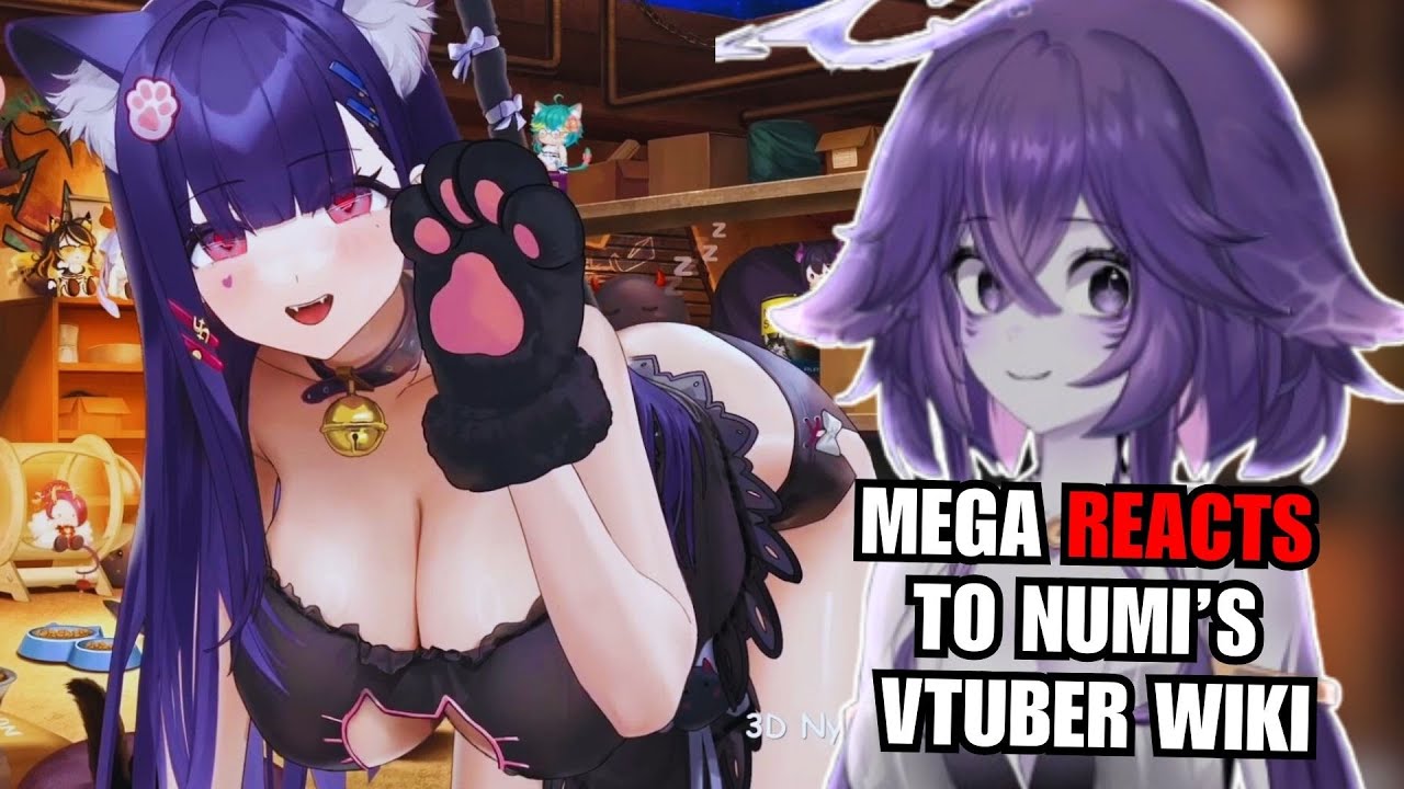 Mega Reacts to Numi's Vtuber Wiki